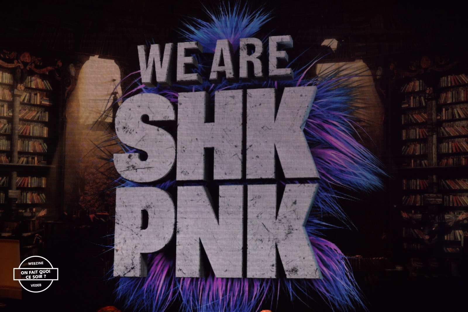 Shaka Ponk