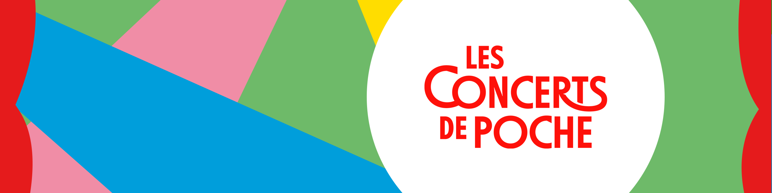 Drôles d’oiseaux