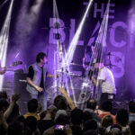 TRIBUTE FEST