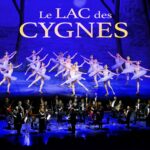 Le Lac Des Cygnes