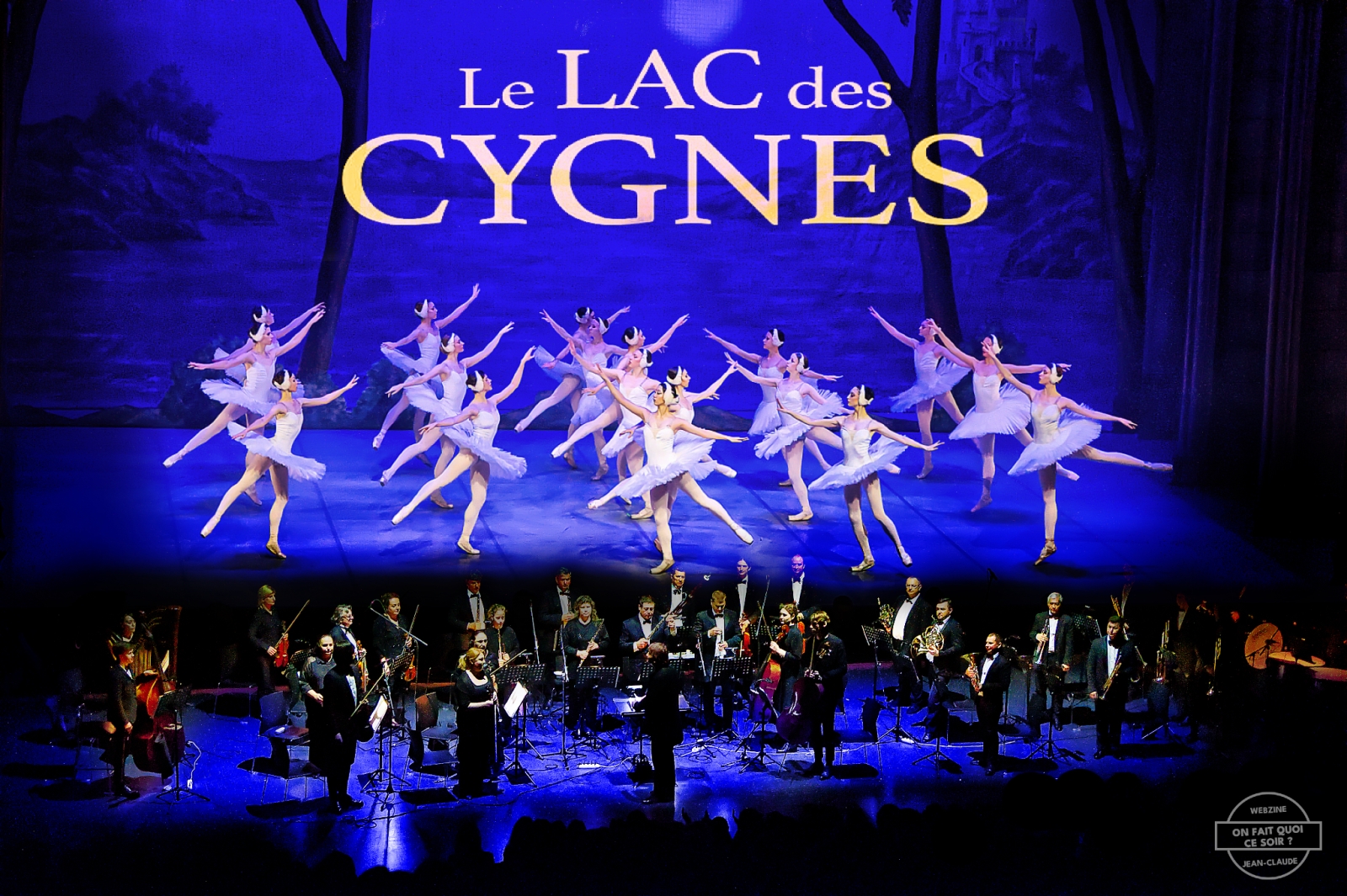 Le Lac Des Cygnes