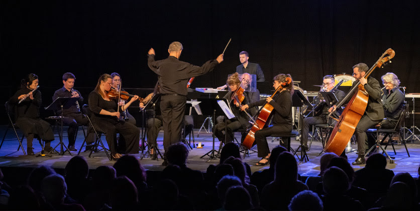 L'ORCHESTRE DES CONCERTS DE POCHE