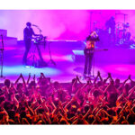 FRANZ FERDINAND