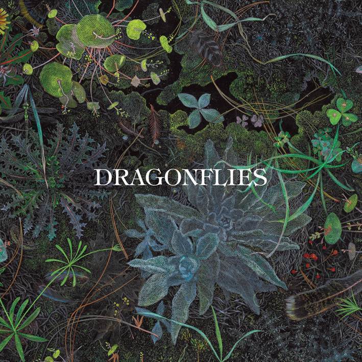 Dragonflies